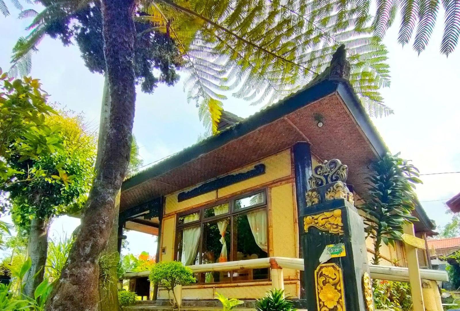 Yoschi'S Hotel Bromo Ngadisari المظهر الخارجي الصورة